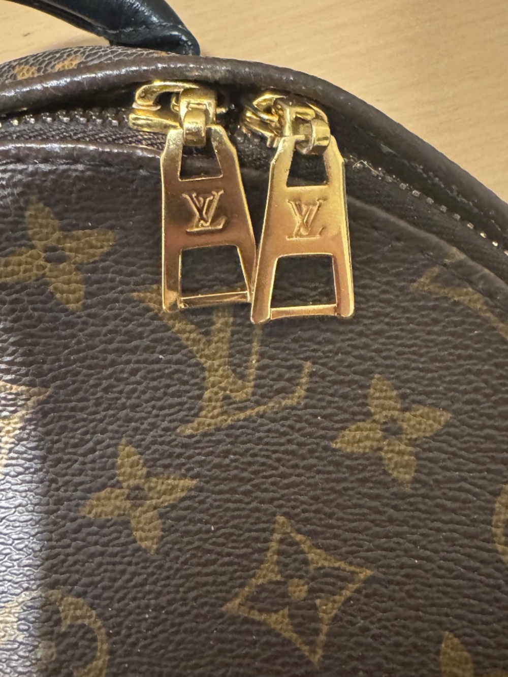 Louis Vuitton Palm Springs Backpack Reverse Monogram Canvas PM - Picture 3 of 16